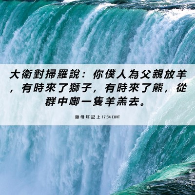 Picture 06 - 撒 母 耳 記 上 17:34 CUVT - 大 衛 對 掃 羅 說 ： 你 僕 人 為 父 - Bible Verse Picture