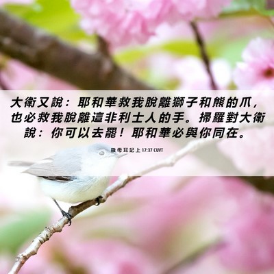 Picture 06 - 撒 母 耳 記 上 17:37 CUVT - 大 衛 又 說 ： 耶 和 華 救 我 脫 離 - Bible Verse Picture