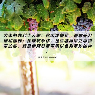 Picture 06 - 撒 母 耳 記 上 17:45 CUVT - 大 衛 對 非 利 士 人 說 ： 你 來 攻 - Bible Verse Picture