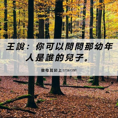 Picture 06 - 撒 母 耳 記 上 17:56 CUVT - 王 說 ： 你 可 以 問 問 那 幼 年 人 - Bible Verse Picture