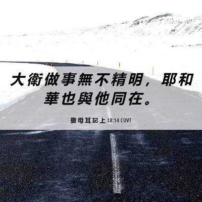 Picture 06 - 撒 母 耳 記 上 18:14 CUVT - 大 衛 做 事 無 不 精 明 ， 耶 和 華 - Bible Verse Picture