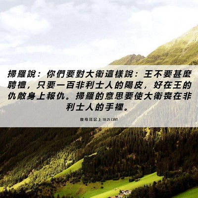 Picture 06 - 撒 母 耳 記 上 18:25 CUVT - 掃 羅 說 ： 你 們 要 對 大 衛 這 樣 - Bible Verse Picture