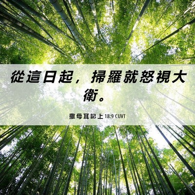 Picture 06 - 撒 母 耳 記 上 18:9 CUVT - 從 這 日 起 ， 掃 羅 就 怒 視 大 衛 - Bible Verse Picture