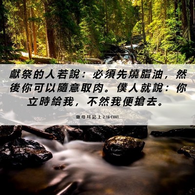 Picture 06 - 撒 母 耳 記 上 2:16 CUVT - 獻 祭 的 人 若 說 ： 必 須 先 燒 脂 - Bible Verse Picture