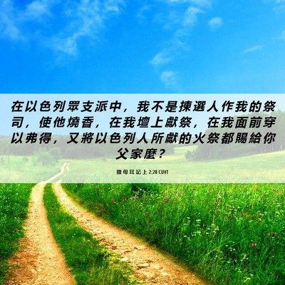 Picture 06 - 撒 母 耳 記 上 2:28 CUVT - 在 以 色 列 眾 支 派 中 ， 我 不 是 - Bible Verse Picture