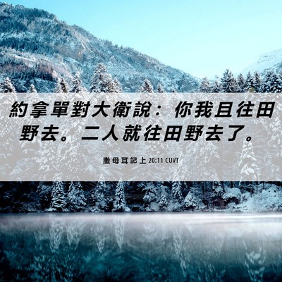 Picture 06 - 撒 母 耳 記 上 20:11 CUVT - 約 拿 單 對 大 衛 說 ： 你 我 且 往 - Bible Verse Picture