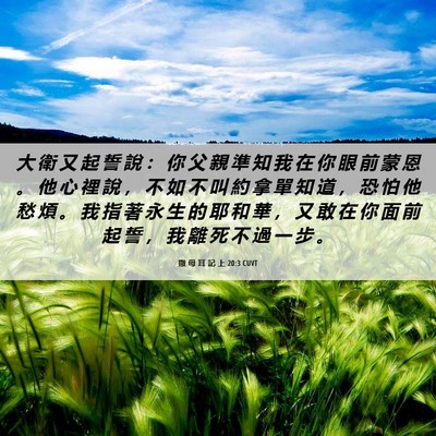 Picture 06 - 撒 母 耳 記 上 20:3 CUVT - 大 衛 又 起 誓 說 ： 你 父 親 準 知 - Bible Verse Picture