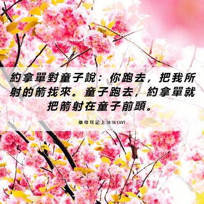 Picture 06 - 撒 母 耳 記 上 20:36 CUVT - 約 拿 單 對 童 子 說 ： 你 跑 去 ， - Bible Verse Picture