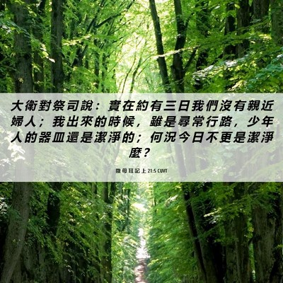 Picture 06 - 撒 母 耳 記 上 21:5 CUVT - 大 衛 對 祭 司 說 ： 實 在 約 有 三 - Bible Verse Picture