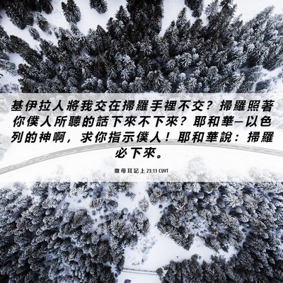 Picture 06 - 撒 母 耳 記 上 23:11 CUVT - 基 伊 拉 人 將 我 交 在 掃 羅 手 裡 - Bible Verse Picture