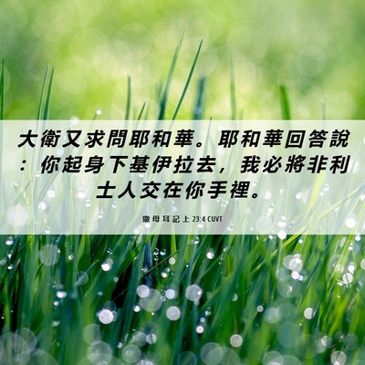 Picture 06 - 撒 母 耳 記 上 23:4 CUVT - 大 衛 又 求 問 耶 和 華 。 耶 和 華 - Bible Verse Picture