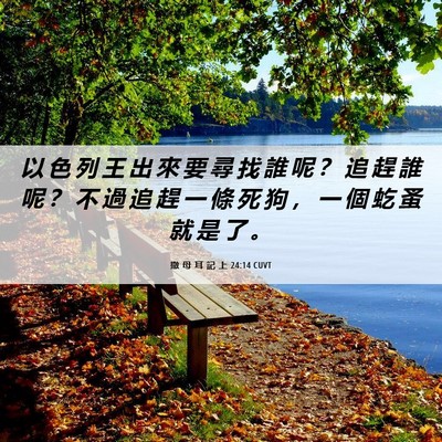 Picture 06 - 撒 母 耳 記 上 24:14 CUVT - 以 色 列 王 出 來 要 尋 找 誰 呢 ？ - Bible Verse Picture