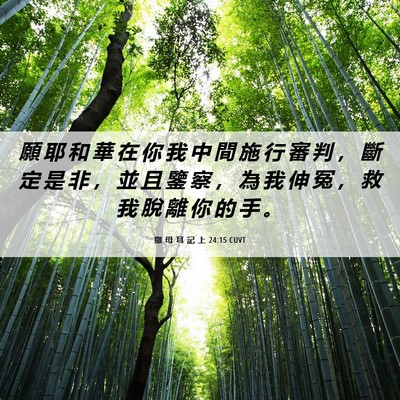 Picture 06 - 撒 母 耳 記 上 24:15 CUVT - 願 耶 和 華 在 你 我 中 間 施 行 審 - Bible Verse Picture