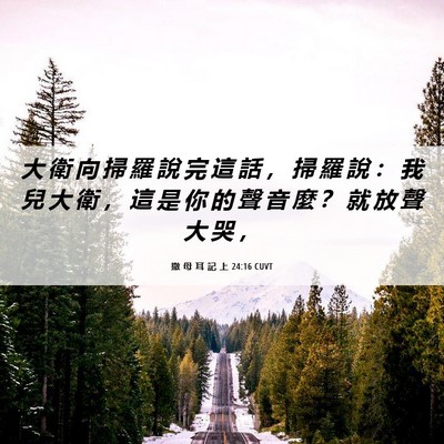 Picture 06 - 撒 母 耳 記 上 24:16 CUVT - 大 衛 向 掃 羅 說 完 這 話 ， 掃 羅 - Bible Verse Picture