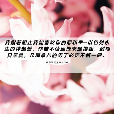 Picture 06 - 撒 母 耳 記 上 25:34 CUVT - 我 指 著 阻 止 我 加 害 於 你 的 耶 - Bible Verse Picture