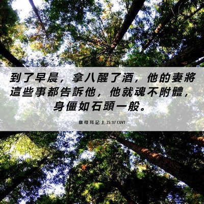 Picture 06 - 撒 母 耳 記 上 25:37 CUVT - 到 了 早 晨 ， 拿 八 醒 了 酒 ， 他 - Bible Verse Picture