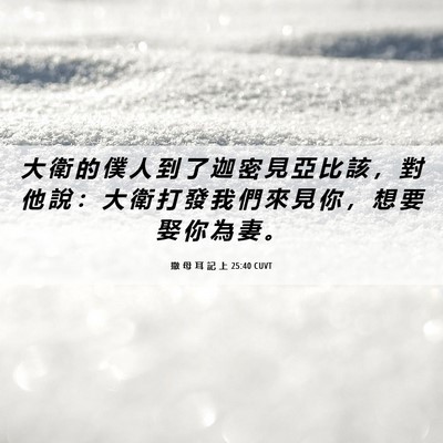 Picture 06 - 撒 母 耳 記 上 25:40 CUVT - 大 衛 的 僕 人 到 了 迦 密 見 亞 比 - Bible Verse Picture
