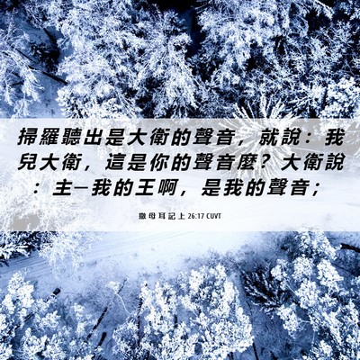 Picture 06 - 撒 母 耳 記 上 26:17 CUVT - 掃 羅 聽 出 是 大 衛 的 聲 音 ， 就 - Bible Verse Picture
