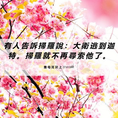 Picture 06 - 撒 母 耳 記 上 27:4 CUVT - 有 人 告 訴 掃 羅 說 ： 大 衛 逃 到 - Bible Verse Picture
