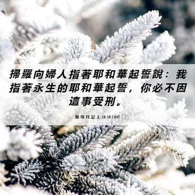 Picture 06 - 撒 母 耳 記 上 28:10 CUVT - 掃 羅 向 婦 人 指 著 耶 和 華 起 誓 - Bible Verse Picture