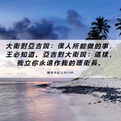 Picture 06 - 撒 母 耳 記 上 28:2 CUVT - 大 衛 對 亞 吉 說 ： 僕 人 所 能 做 - Bible Verse Picture