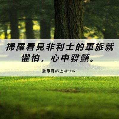 Picture 06 - 撒 母 耳 記 上 28:5 CUVT - 掃 羅 看 見 非 利 士 的 軍 旅 就 懼 - Bible Verse Picture