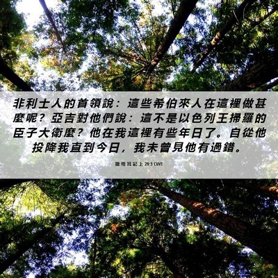 Picture 06 - 撒 母 耳 記 上 29:3 CUVT - 非 利 士 人 的 首 領 說 ： 這 些 希 - Bible Verse Picture