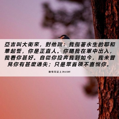 Picture 06 - 撒 母 耳 記 上 29:6 CUVT - 亞 吉 叫 大 衛 來 ， 對 他 說 ： 我 - Bible Verse Picture