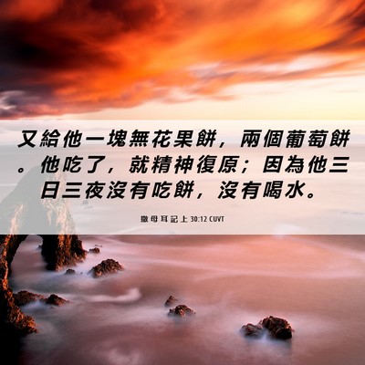 Picture 06 - 撒 母 耳 記 上 30:12 CUVT - 又 給 他 一 塊 無 花 果 餅 ， 兩 個 - Bible Verse Picture