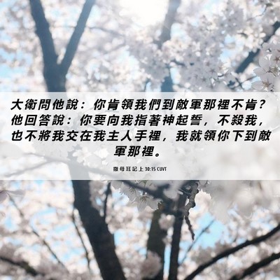 Picture 06 - 撒 母 耳 記 上 30:15 CUVT - 大 衛 問 他 說 ： 你 肯 領 我 們 到 - Bible Verse Picture