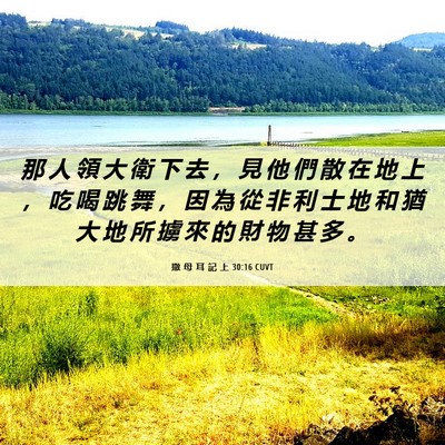 Picture 06 - 撒 母 耳 記 上 30:16 CUVT - 那 人 領 大 衛 下 去 ， 見 他 們 散 - Bible Verse Picture