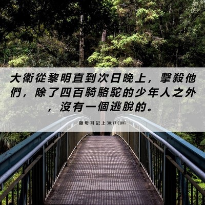 Picture 06 - 撒 母 耳 記 上 30:17 CUVT - 大 衛 從 黎 明 直 到 次 日 晚 上 ， - Bible Verse Picture