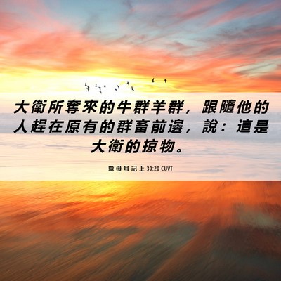Picture 06 - 撒 母 耳 記 上 30:20 CUVT - 大 衛 所 奪 來 的 牛 群 羊 群 ， 跟 - Bible Verse Picture