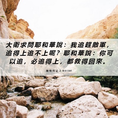 Picture 06 - 撒 母 耳 記 上 30:8 CUVT - 大 衛 求 問 耶 和 華 說 ： 我 追 趕 - Bible Verse Picture
