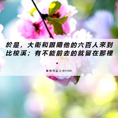 Picture 06 - 撒 母 耳 記 上 30:9 CUVT - 於 是 ， 大 衛 和 跟 隨 他 的 六 百 - Bible Verse Picture