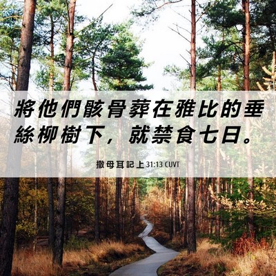 Picture 06 - 撒 母 耳 記 上 31:13 CUVT - 將 他 們 骸 骨 葬 在 雅 比 的 垂 絲 - Bible Verse Picture