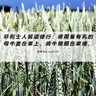 Picture 06 - 撒 母 耳 記 上 6:10 CUVT - 非 利 士 人 就 這 樣 行 ： 將 兩 隻 - Bible Verse Picture