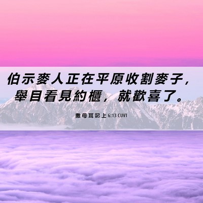 Picture 06 - 撒 母 耳 記 上 6:13 CUVT - 伯 示 麥 人 正 在 平 原 收 割 麥 子 - Bible Verse Picture