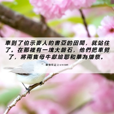 Picture 06 - 撒 母 耳 記 上 6:14 CUVT - 車 到 了 伯 示 麥 人 約 書 亞 的 田 - Bible Verse Picture