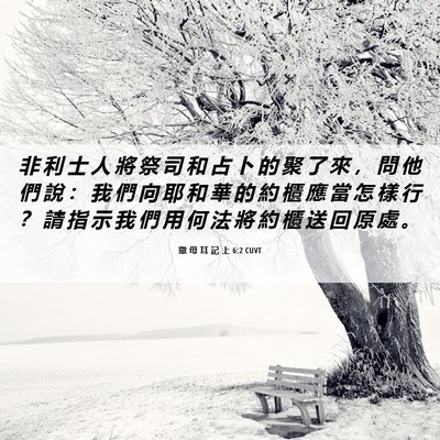 Picture 06 - 撒 母 耳 記 上 6:2 CUVT - 非 利 士 人 將 祭 司 和 占 卜 的 聚 - Bible Verse Picture