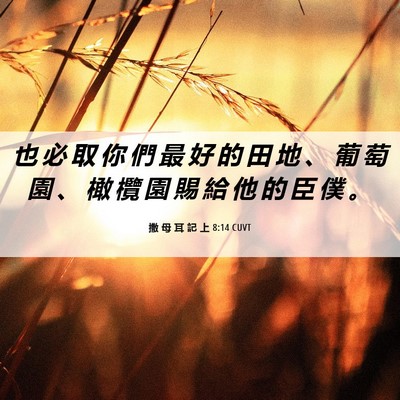 Picture 06 - 撒 母 耳 記 上 8:14 CUVT - 也 必 取 你 們 最 好 的 田 地 、 葡 - Bible Verse Picture