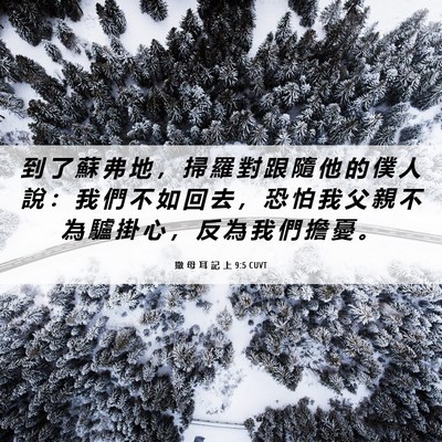 Picture 06 - 撒 母 耳 記 上 9:5 CUVT - 到 了 蘇 弗 地 ， 掃 羅 對 跟 隨 他 - Bible Verse Picture