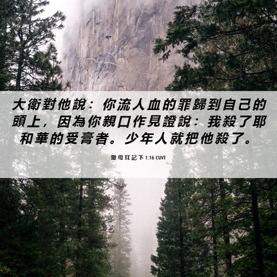 Picture 06 - 撒 母 耳 記 下 1:16 CUVT - 大 衛 對 他 說 ： 你 流 人 血 的 罪 - Bible Verse Picture