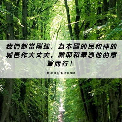 Picture 06 - 撒 母 耳 記 下 10:12 CUVT - 我 們 都 當 剛 強 ， 為 本 國 的 民 - Bible Verse Picture
