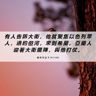 Picture 06 - 撒 母 耳 記 下 10:17 CUVT - 有 人 告 訴 大 衛 ， 他 就 聚 集 以 - Bible Verse Picture