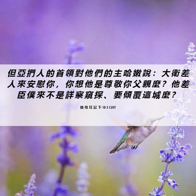 Picture 06 - 撒 母 耳 記 下 10:3 CUVT - 但 亞 捫 人 的 首 領 對 他 們 的 主 - Bible Verse Picture