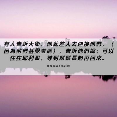 Picture 06 - 撒 母 耳 記 下 10:5 CUVT - 有 人 告 訴 大 衛 ， 他 就 差 人 去 - Bible Verse Picture