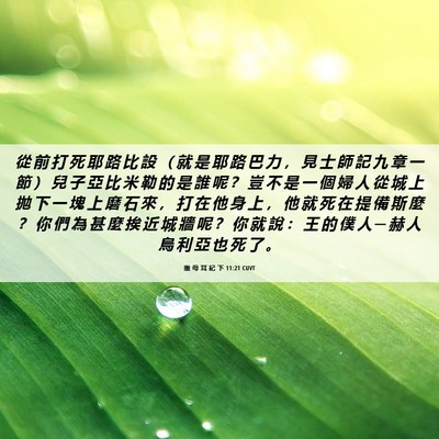 Picture 06 - 撒 母 耳 記 下 11:21 CUVT - 從 前 打 死 耶 路 比 設 （ 就 是 耶 - Bible Verse Picture