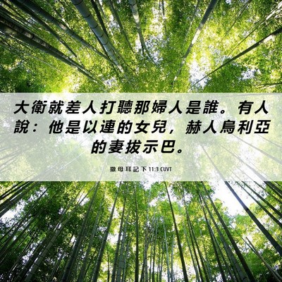 Picture 06 - 撒 母 耳 記 下 11:3 CUVT - 大 衛 就 差 人 打 聽 那 婦 人 是 誰 - Bible Verse Picture