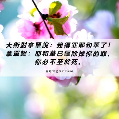 Picture 06 - 撒 母 耳 記 下 12:13 CUVT - 大 衛 對 拿 單 說 ： 我 得 罪 耶 和 - Bible Verse Picture